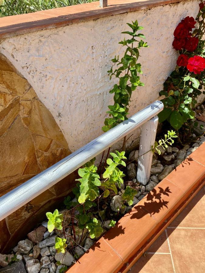 L'Oasi Di Chia Panzió Kültér fotó