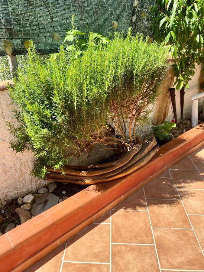 L'Oasi Di Chia Panzió Kültér fotó